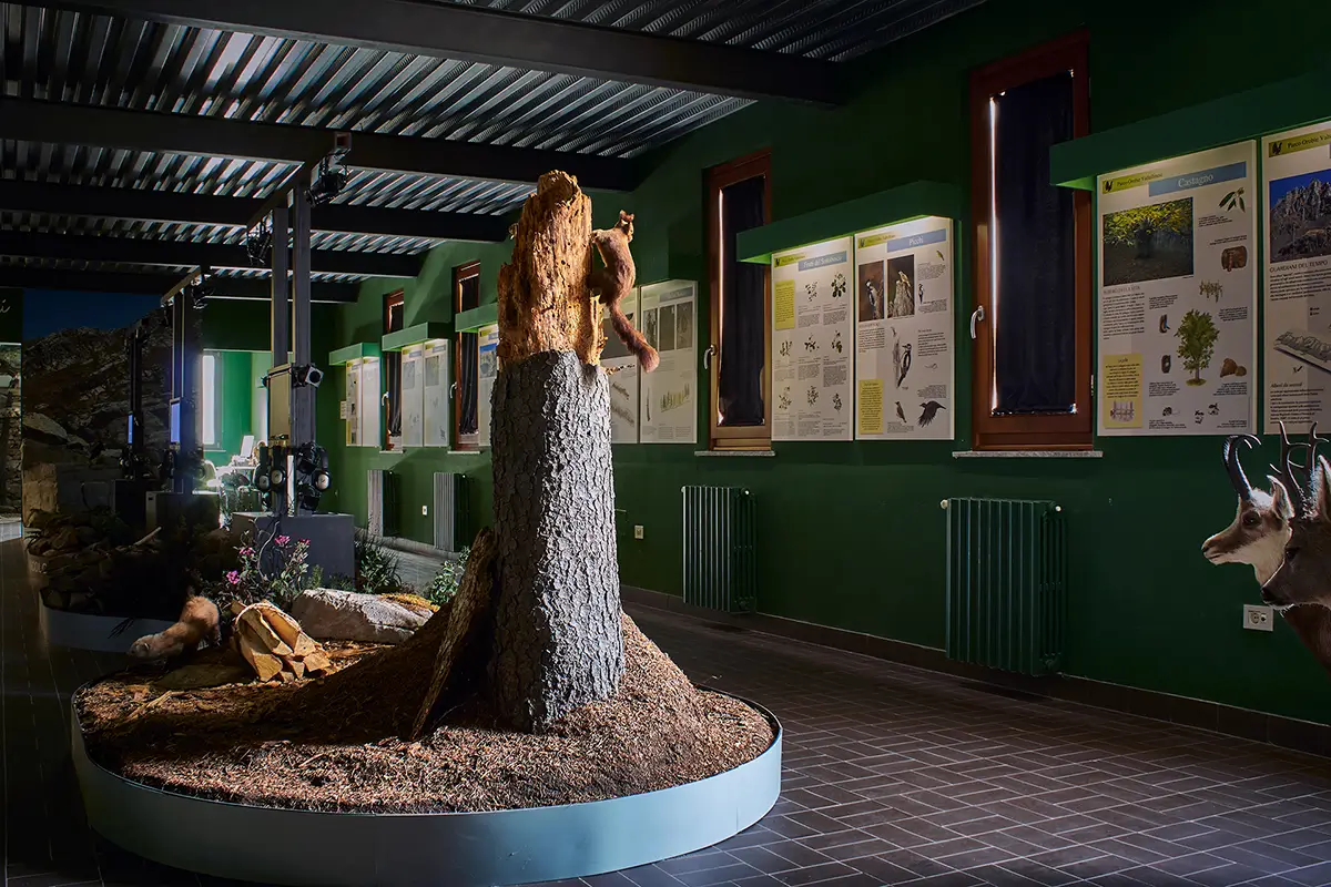 Scoprilo Vivilo Albaredo Porta del Parco Parco delle Orobie Valtellinesi 03