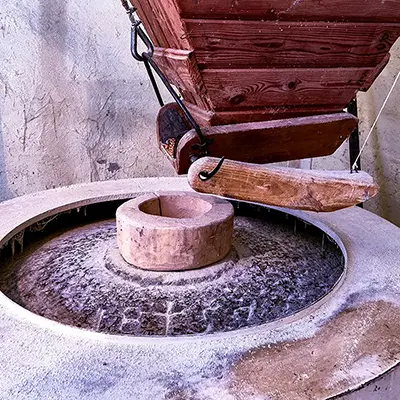 Scoprilo Vivilo Colorina Mulino Zamboni Parco delle Orobie Valtellinesi Immagine in evidenza