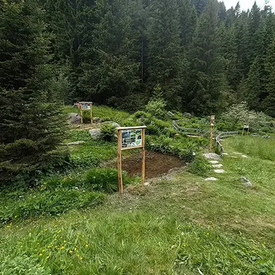 Scoprilo Vivilo Tartano Orto botanico Parco delle Orobie Valtellinesi Immagini in evidenza