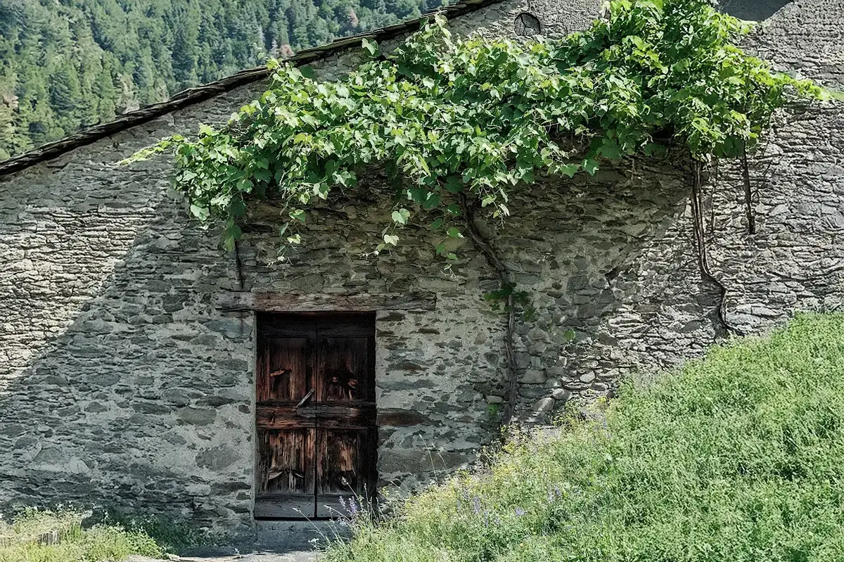 Dettaglio di una porta in legno delle case rurali a Albaredo per San Marco