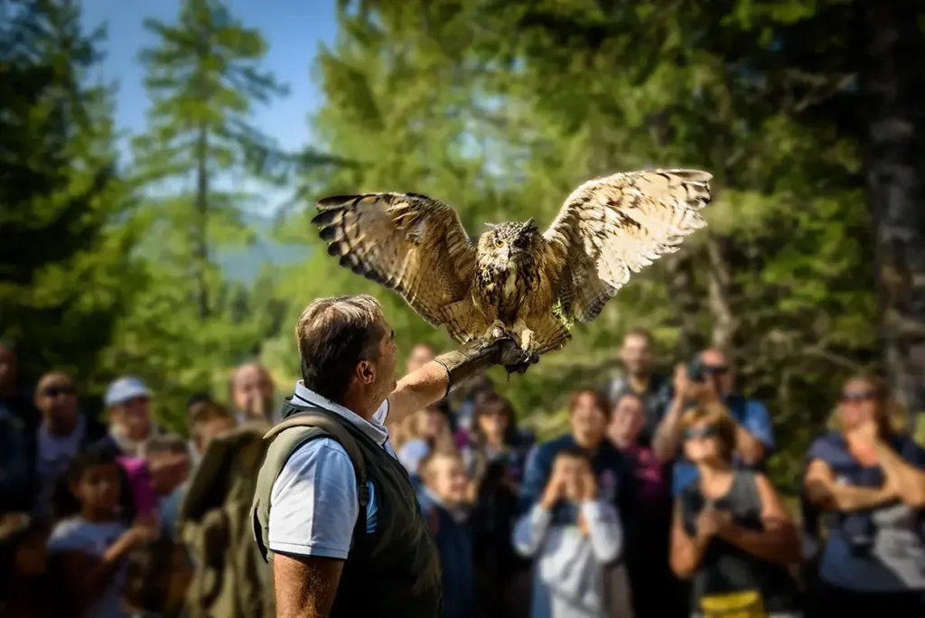 Percorsi e esperienze