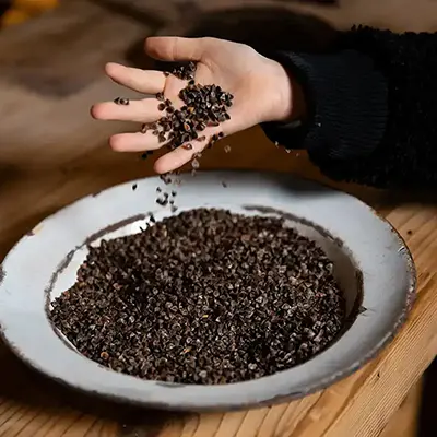 Mulino dei Plaz a Aprica