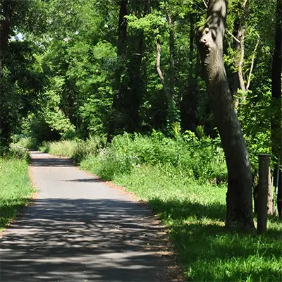 Scoprilo Vivilo Colorina Sentiero Valtellina Immagine in evidenza Parco delle Orobie Valtellinesi