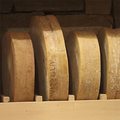 Scoprilo Vivilo Gerola Alta Casa del Bitto Parco delle Orobie Valtellinesi Immagine in evidenza